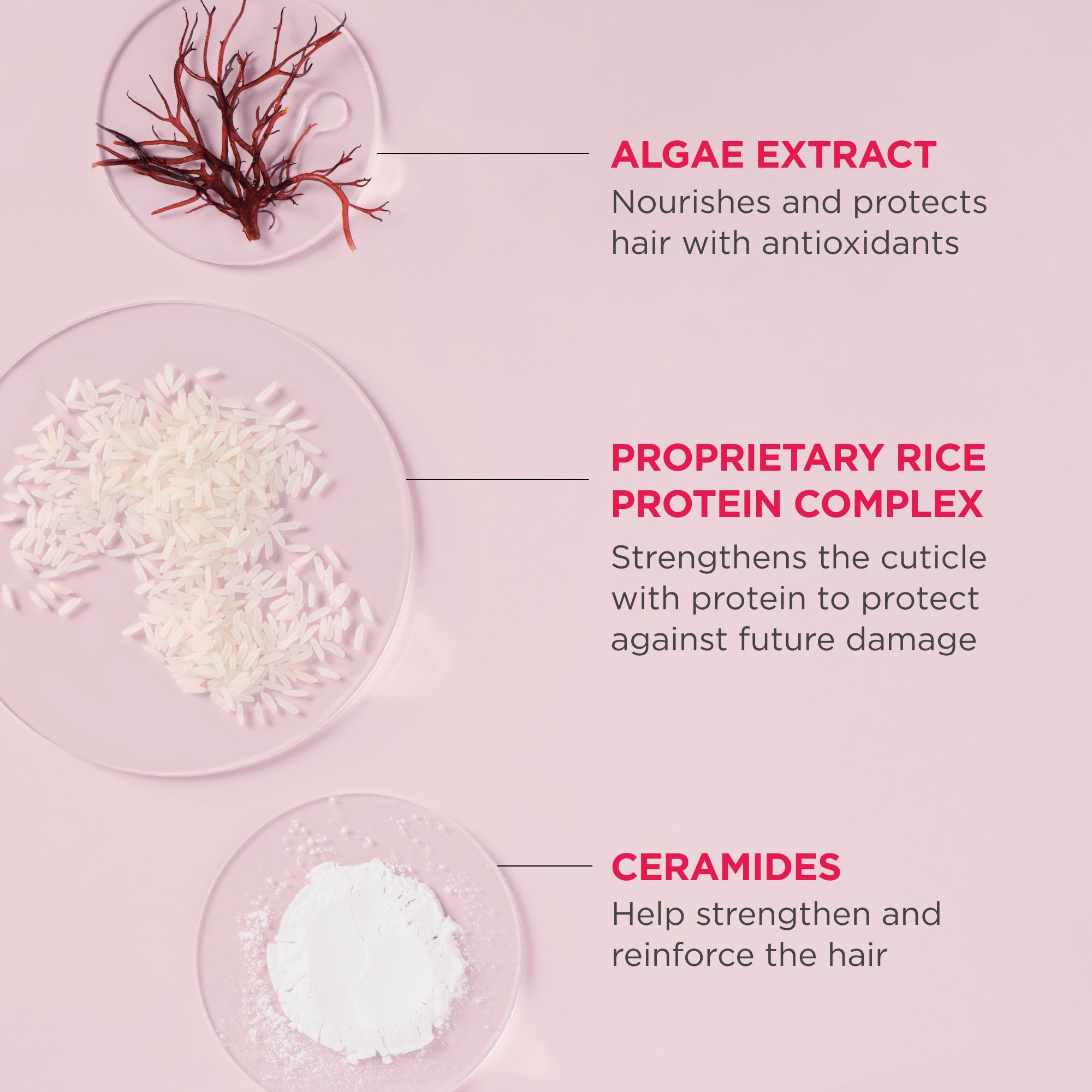 Don't Despair, Repair! MegaStrength+ Rice Water Protein + Moisture Strengthening Treatment