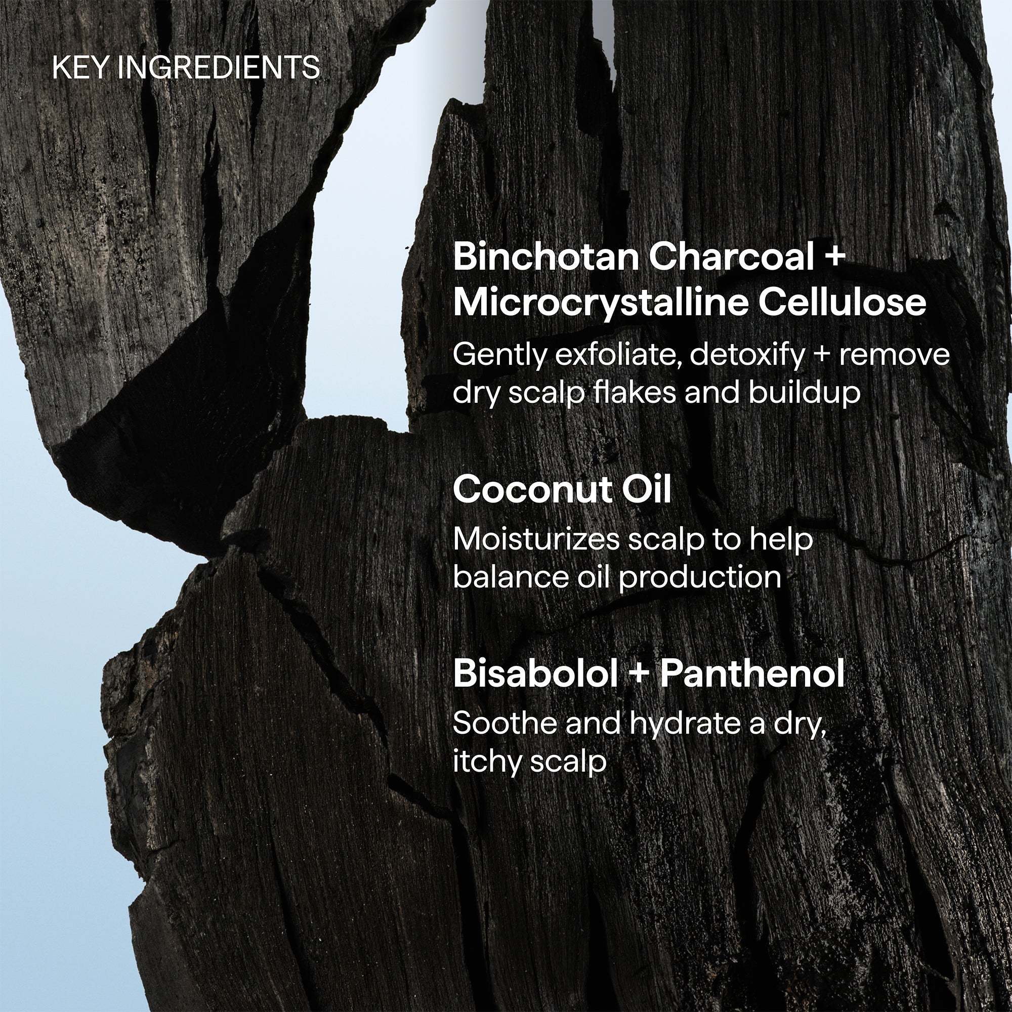 Scalp Revival™ Charcoal + Coconut Oil Micro-Exfoliating Shampoo, 2 oz