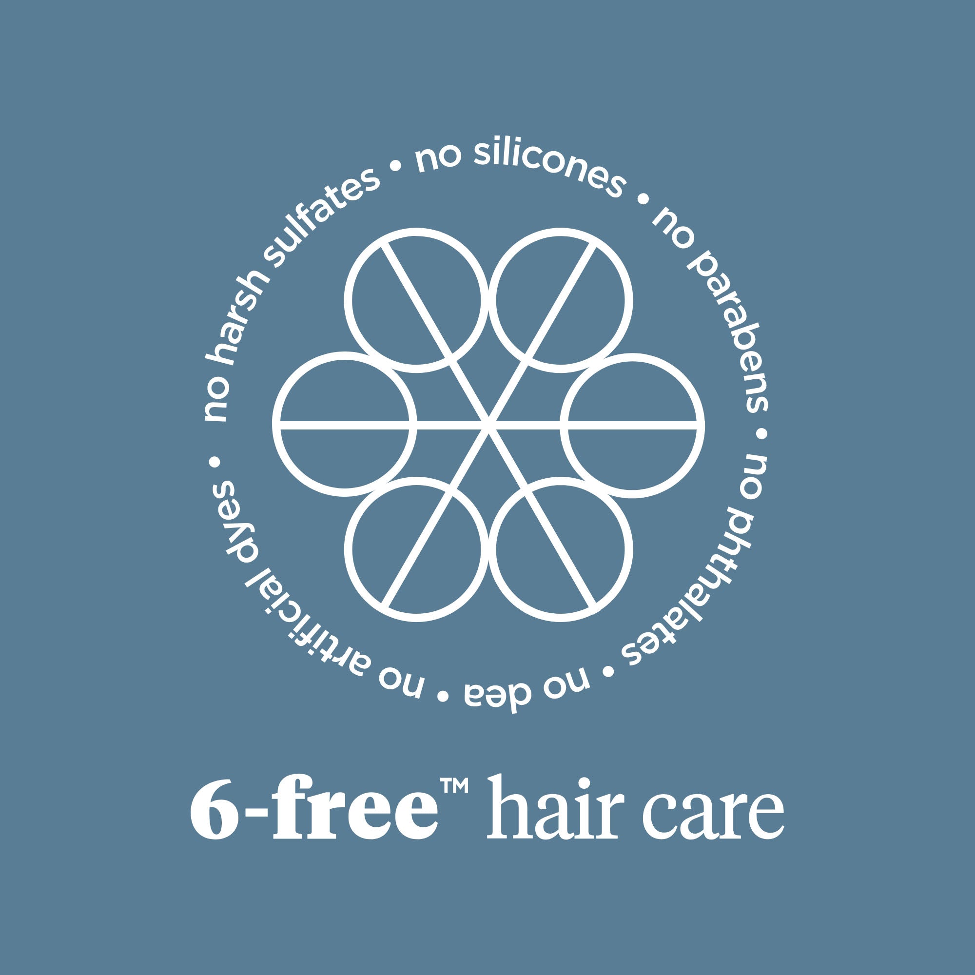 Scalp Revival Charcoal + Tea Tree Buildup Detox Spray