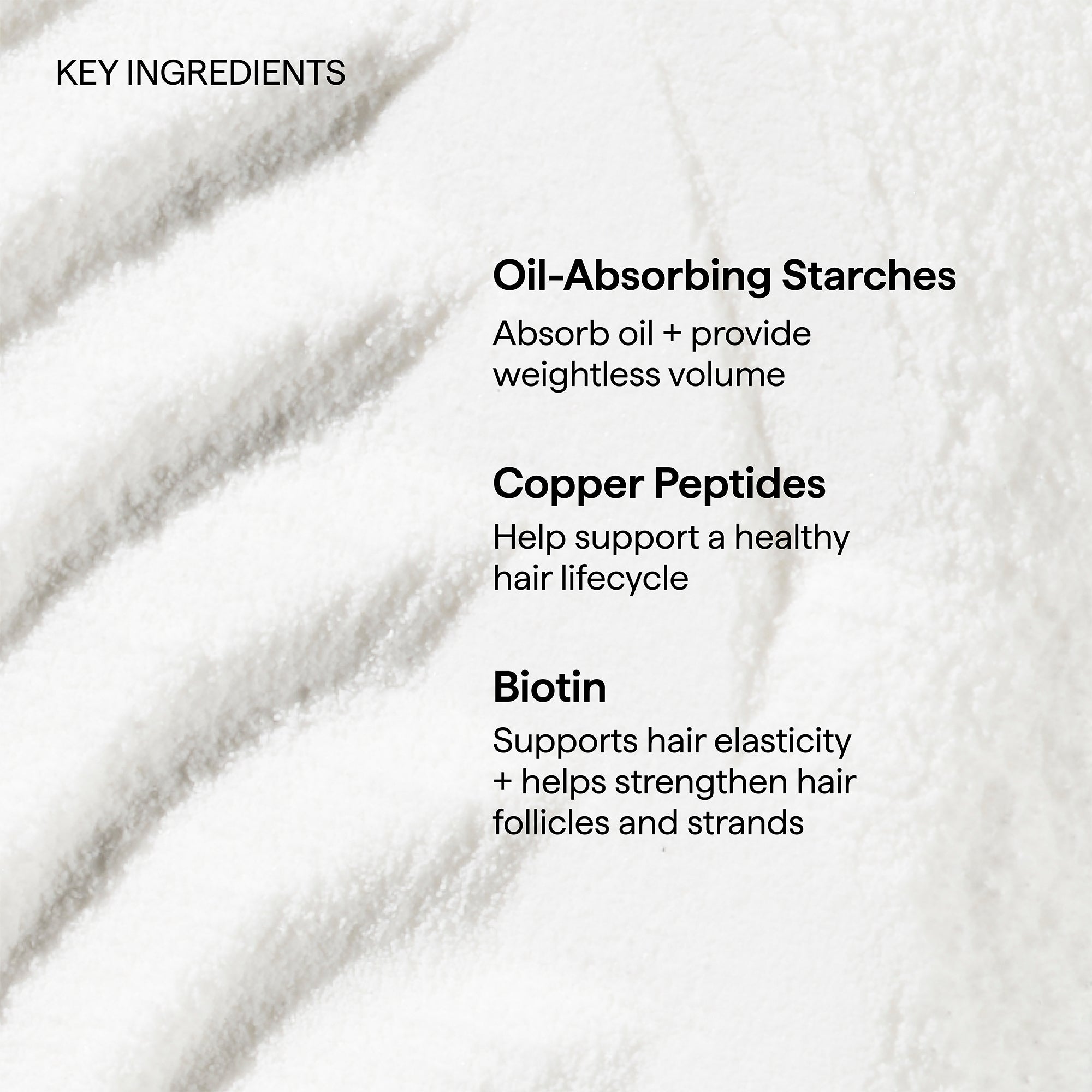 Style + Treat™ Dry Shampoo Puff-Translucent