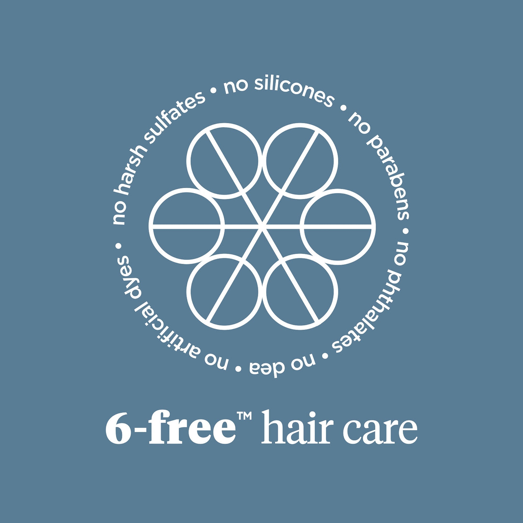 Scalp Revival Charcoal + Tea Tree Scalp Treatment