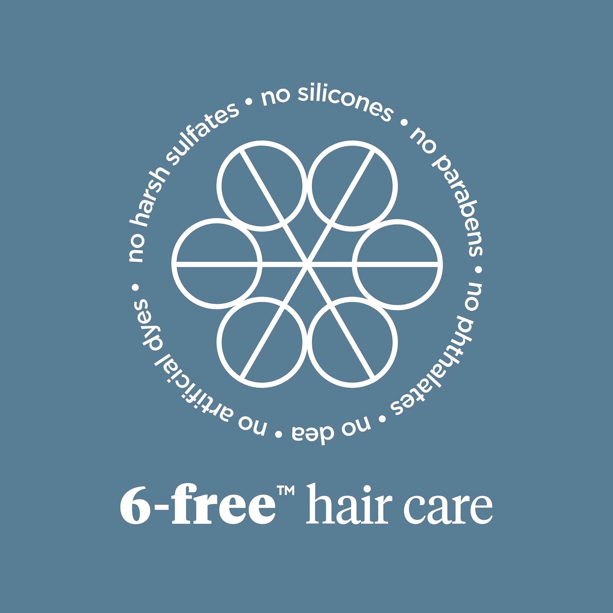 Scalp Revival Charcoal + Biotin Dry Shampoo